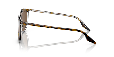 RAYBAN RB 2204 139357 54