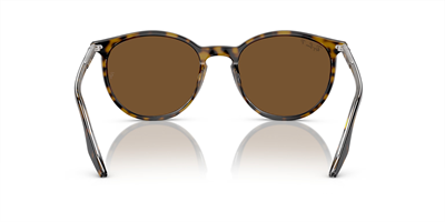 RAYBAN RB 2204 139357 54