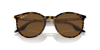 RAYBAN RB 2204 139357 54