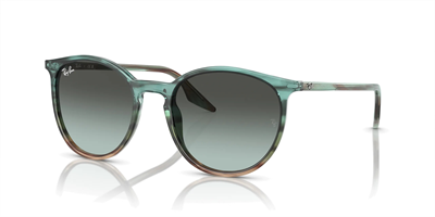 RAYBAN RB 2204 1394GK 51