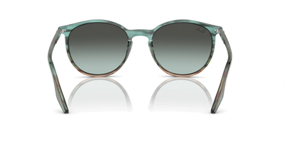 RAYBAN RB 2204 1394GK 51