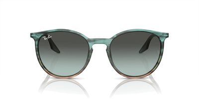 RAYBAN RB 2204 1394GK 51
