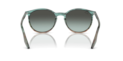 RAYBAN RB 2204 1394GK 54