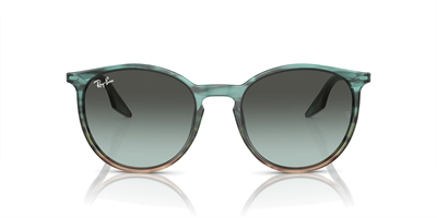 RAYBAN RB 2204 1394GK 54