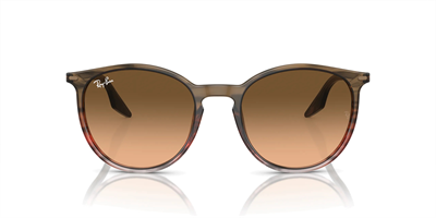 RAYBAN RB 2204 13953B 54