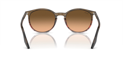 RAYBAN RB 2204 13953B 54