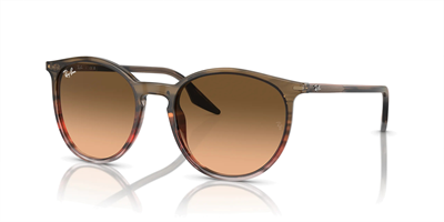 RAYBAN RB 2204 13953B 54