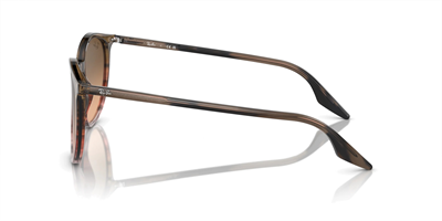 RAYBAN RB 2204 13953B 54