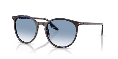 RAYBAN RB 2204 14303F 54
