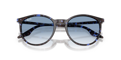 RAYBAN RB 2204 14303F 54
