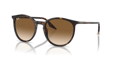 RAYBAN RB 2204 902/51 54