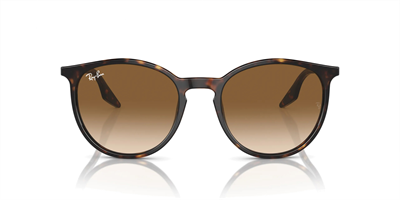 RAYBAN RB 2204 902/51 54