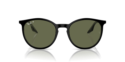 RAYBAN RB 2204 919/58 54