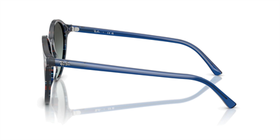 RAYBAN RB 2230 1420GK 51