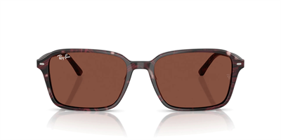 RAYBAN RB 2231 Raimond 1416/C5 58