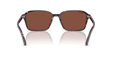 RAYBAN RB 2231 Raimond 1416/C5 58