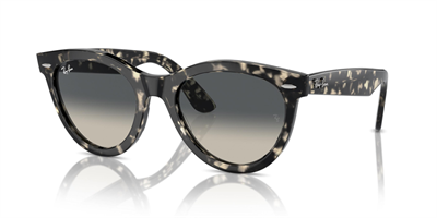 RAYBAN RB 2241 Wayfarer Way 133371 54