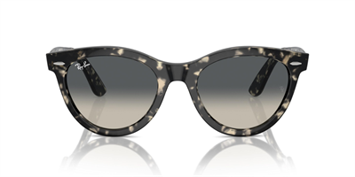 RAYBAN RB 2241 Wayfarer Way 133371 54