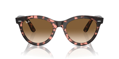 RAYBAN RB 2241 Wayfarer Way 133451 51