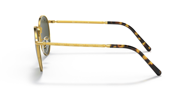 RAYBAN RB 3637 New Round 919631 50