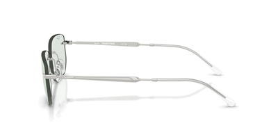 RAYBAN RB 3768 (Güneşte Koyulaşan) 003/M1 56
