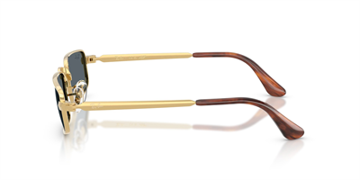 RAYBAN RB 3927 001/R5 54