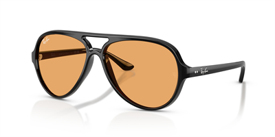 RAYBAN RB 4125 Cats 5000 601/33 59