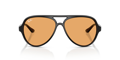 RAYBAN RB 4125 Cats 5000 601/33 59