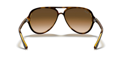 RAYBAN RB 4125 Cats 5000 710/51 59