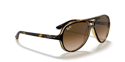 RAYBAN RB 4125 Cats 5000 710/51 59