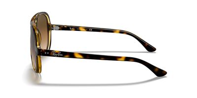 RAYBAN RB 4125 Cats 5000 710/51 59