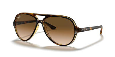 RAYBAN RB 4125 Cats 5000 710/51 59