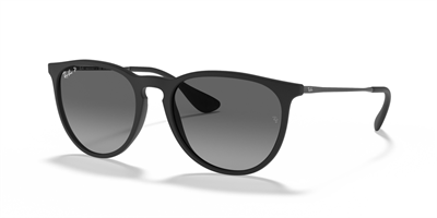RAYBAN RB 4171 Erika 622/T3 54