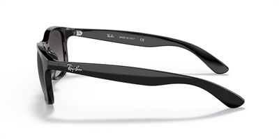 RAYBAN RB 4202 Andy 601/8G 55