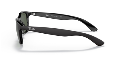 RAYBAN RB 4202 Andy 6069/71 55