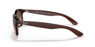 RAYBAN RB 4202 Andy 6073/13 55