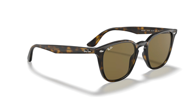 RAYBAN RB 4258 710/73 50