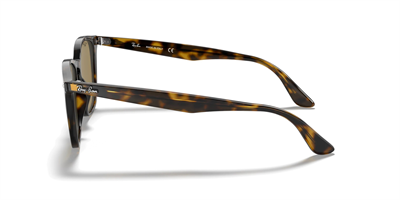 RAYBAN RB 4258 710/73 50