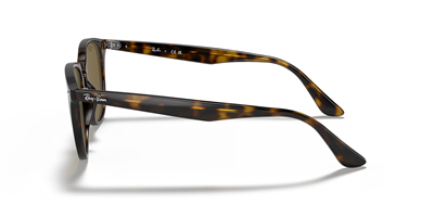 RAYBAN RB 4259 710/73 51