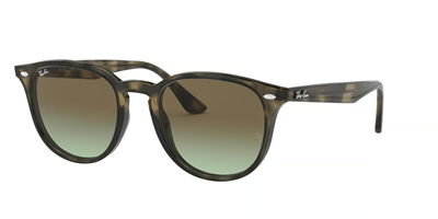 RAYBAN RB 4259 731/E8 51
