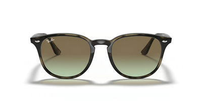 RAYBAN RB 4259 731/E8 51