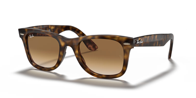 RAYBAN RB 4340 Wayfarer 710/51 50