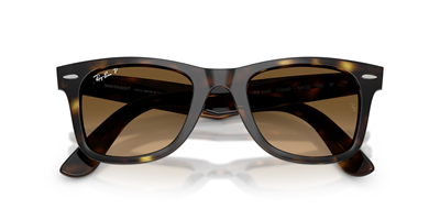 RAYBAN RB 4340 Wayfarer 710/M2 50