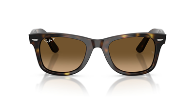 RAYBAN RB 4340 Wayfarer 710/M2 50