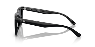 RAYBAN RB 4420 601/87 65