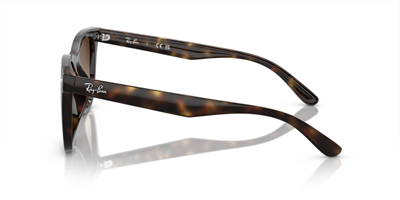 RAYBAN RB 4420 710/13 65