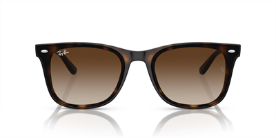 RAYBAN RB 4420 710/13 65
