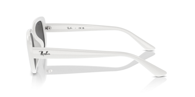RAYBAN RB 4421 6772/87 56