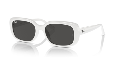 RAYBAN RB 4421 6772/87 56