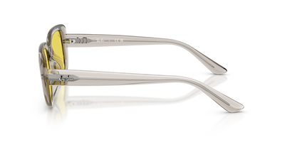 RAYBAN RB 4421-D 681885 56